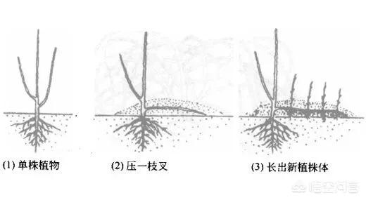 今日科普一下！1877澳门论坛资料,百科词条爱好_2024最新更新