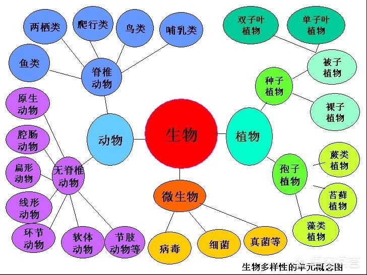 今日科普一下！1877澳门论坛资料,百科词条爱好_2024最新更新