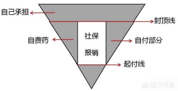 今日科普一下！香港惠泽免费大全,百科词条爱好_2024最新更新