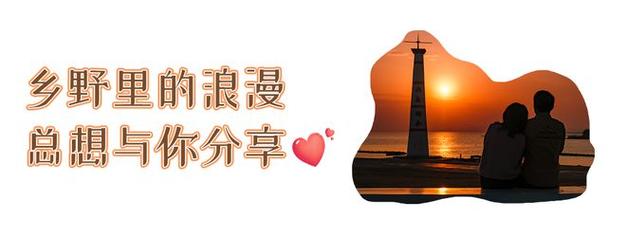 今日科普一下！精装难兄难弟免费观看,百科词条爱好_2024最新更新