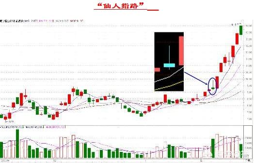 今日科普一下！仙人指路论坛澳门网址是什么,百科词条爱好_2024最新更新